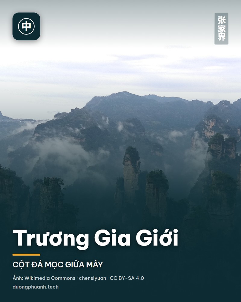 Trương Gia Giới