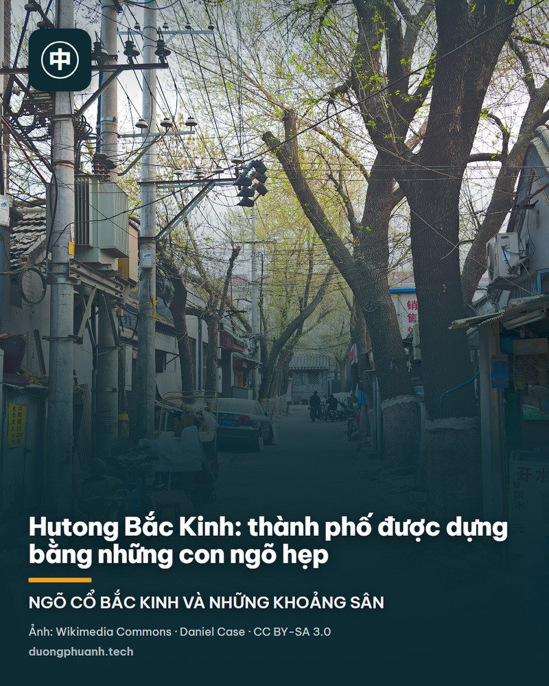 Một ngõ hutong Bắc Kinh vào buổi sáng nắng: hai bên là nhà gạch xám một tầng mái ngói, trước cửa có chậu cây và xe đạp dựng sát tường, những chiếc đèn lồng đỏ treo dưới hiên, người đi bộ và người đạp xe ở giữa ngõ.
