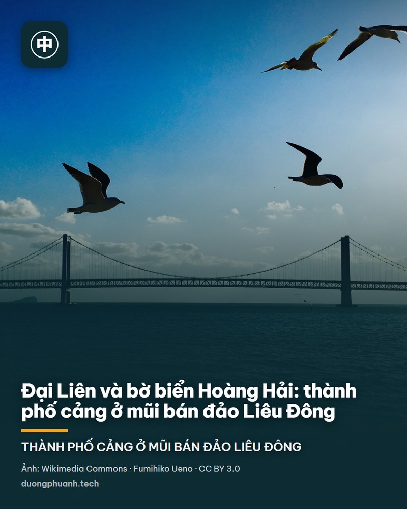 Ảnh chụp từ trên không quảng trường Tinh Hải ở Đại Liên: một vòng tròn lớn viền cây xanh và đường nội bộ nằm sát bờ vịnh, phía dưới là nước biển xanh sẫm với các bến du thuyền và mũi đất hình lá, phía trên là dãy nhà cao tầng ken đặc, rải rác vài ngọn đồi thấp.