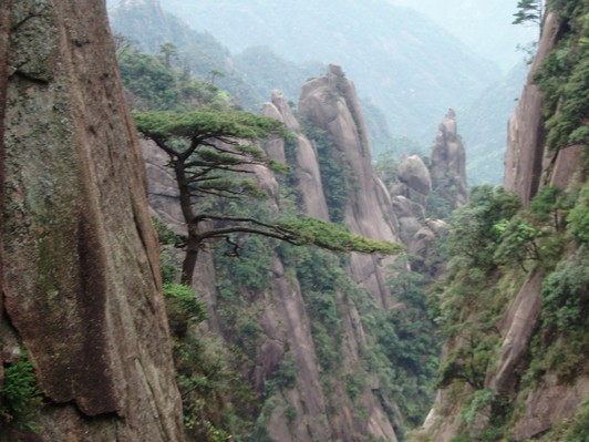 Tam Thanh Sơn: rừng cột đá granite và con trăn khổng lồ giữa mây