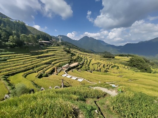 Lệ Thủy và ruộng bậc thang Vân Hòa: bảy trăm tầng ruộng trên một sườn núi