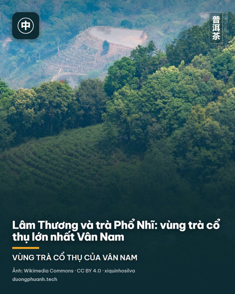 Toàn cảnh đồi trà ở Phổ Nhĩ, Vân Nam nhìn từ trên cao: những luống trà xanh uốn theo đường đồng mức trên các sườn đồi, xen lẫn mảng rừng và khu dân cư, phía xa là dãy núi mờ dưới nền trời nhiều mây.
