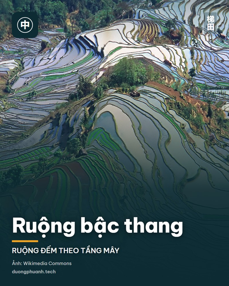 Ruộng bậc thang
