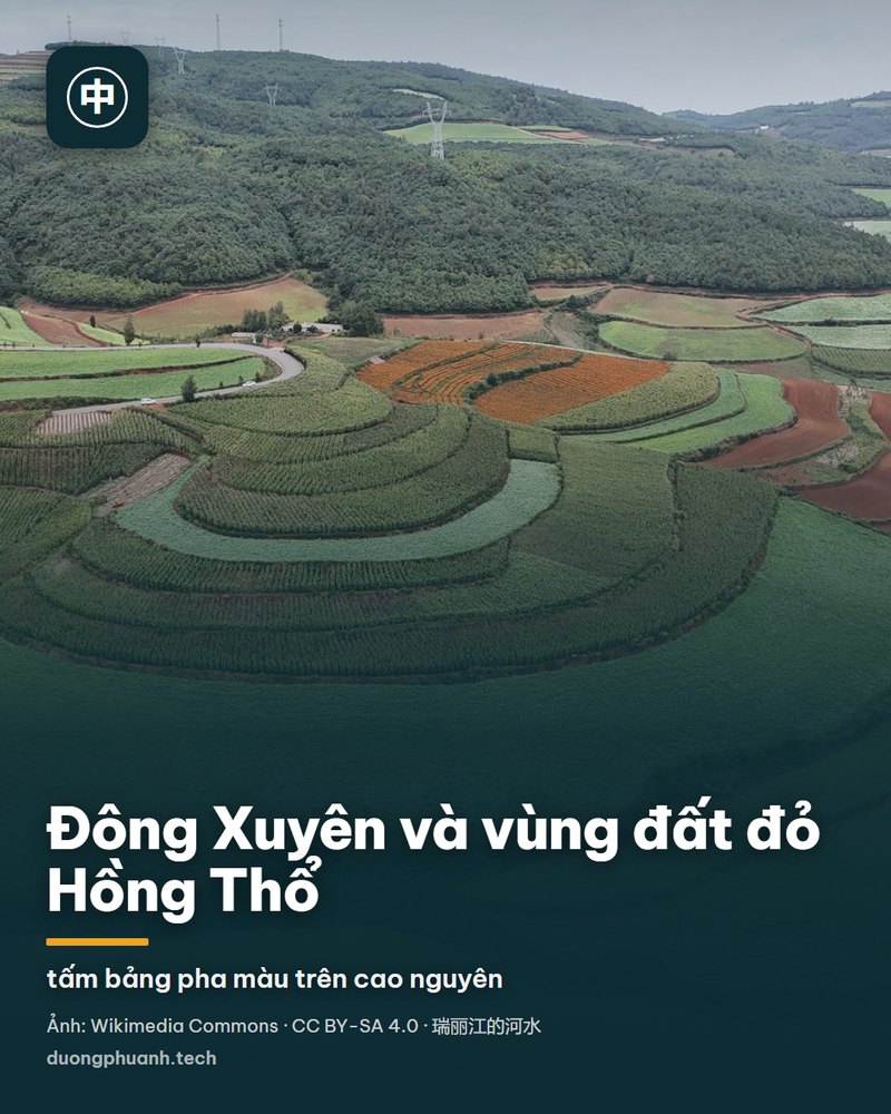 Toàn cảnh đất đỏ Đông Xuyên nhìn từ trên cao: các thửa ruộng bậc thang uốn theo sườn đồi với những mảng màu đỏ nâu của đất trơ, xanh của cây non và trắng của hoa, viền theo nhau như miếng chắp vá; phía xa là đồi thông xanh thẫm.