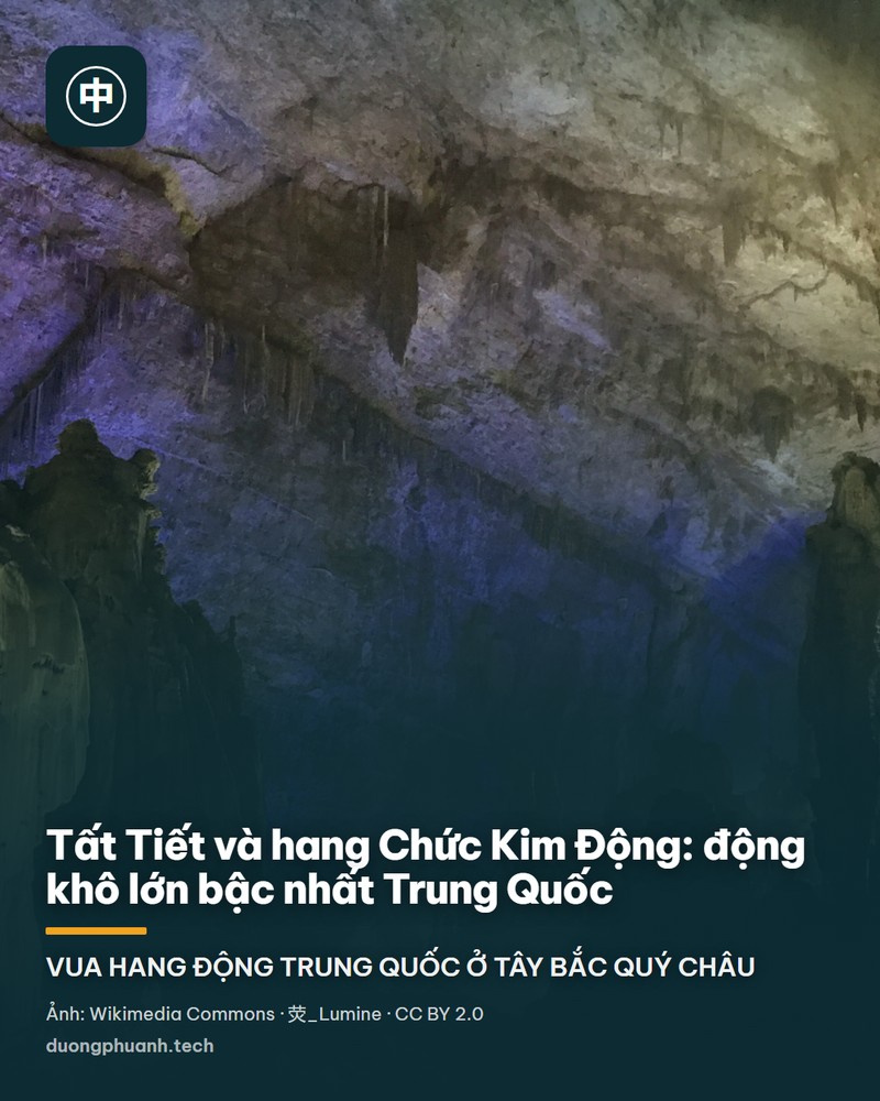 Trong lòng hang Chức Kim Động: một rừng cột đá và măng đá lớn màu trắng ngà và xám vươn từ sàn hang và buông xuống từ trần, bề mặt đá gồ ghề xếp lớp; hai bên là những khối đá tối màu, phía trên có khoảng trần hang sáng được chiếu đèn.
