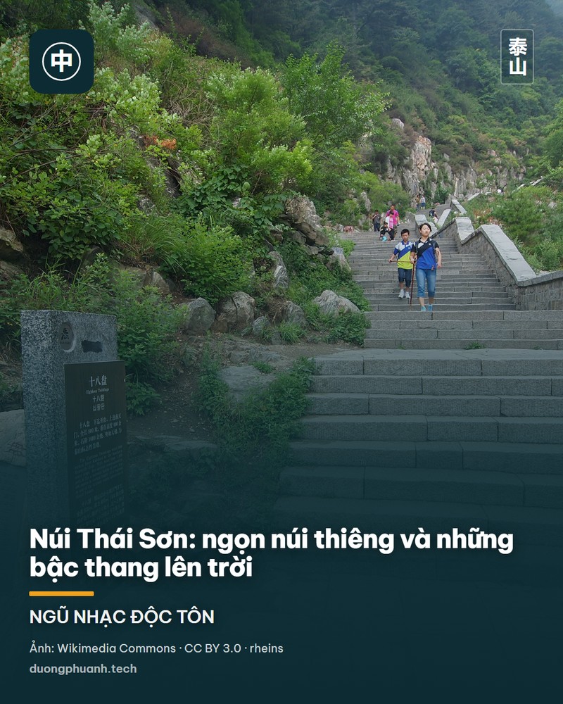 Bình minh trên núi Thái Sơn: mặt trời vàng rực nhô lên khỏi biển mây, phía trước là sườn một đỉnh núi đen thẫm in bóng và vài ngọn thông, cả vùng mây phía dưới nhuộm một màu cam đỏ.