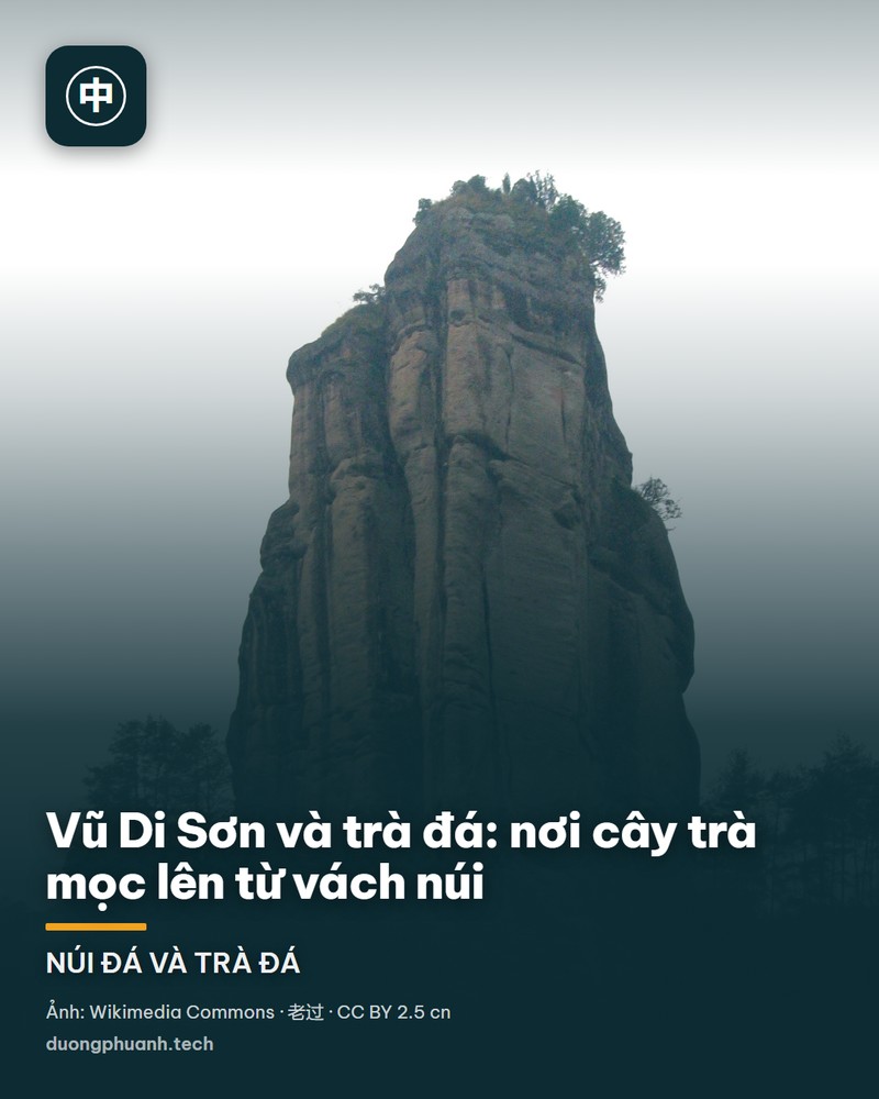 Sông Cửu Khúc uốn quanh chân núi đá phủ rừng xanh ở Vũ Di Sơn; mặt nước xanh sẫm phản chiếu bờ đá, một chiếc bè tre chở khách trôi giữa dòng, sương mù quấn trên các đỉnh núi phía xa dưới nền trời trắng đục.