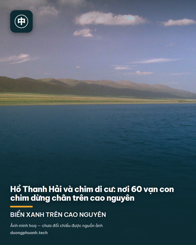 Mặt hồ nước xanh ngọc kéo dài tới đường chân trời mờ sương, phía trước là bãi cát trắng và mấy con chim nước đứng bên mép nước, một con chim trắng đang bay trên mặt hồ.
