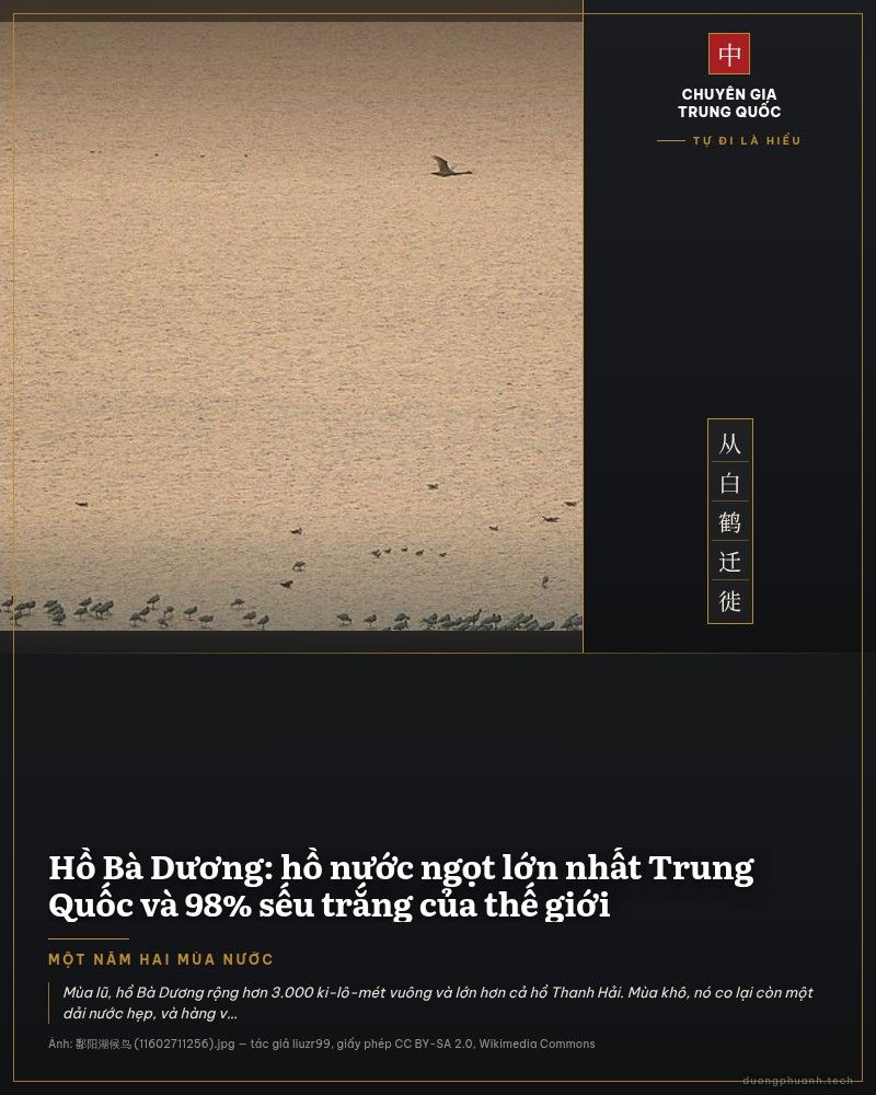 Mặt nước hồ nhuộm vàng dưới nắng chiều, một hàng dài chim nước đậu thành vệt ngang giữa hồ, vài con chim đang bay phía trên, phía xa là đường chân trời mờ.