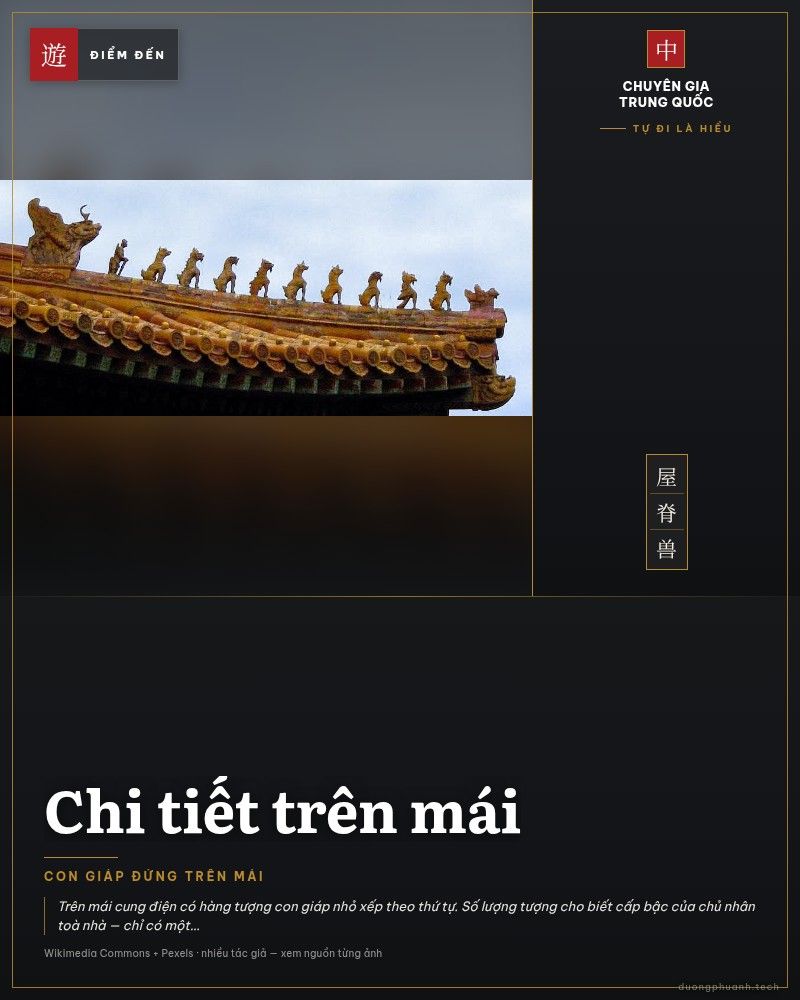 Chi tiết trên mái