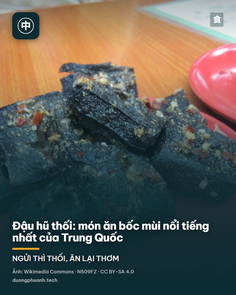 Sáu miếng đậu hũ thối đen như mực xếp trên đĩa trắng, rắc tỏi băm và ớt đỏ, phía trên có vài giọt dầu và nước sốt nâu đọng lại.