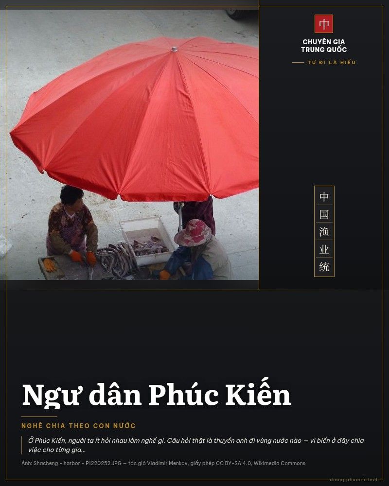 Hai người phụ nữ đội mũ, đeo găng ngồi dưới chiếc ô đỏ bên bàn gỗ, phân loại mực và cá vừa đưa lên bờ ở cảng Sa Thành, Phúc Đỉnh, tỉnh Phúc Kiến