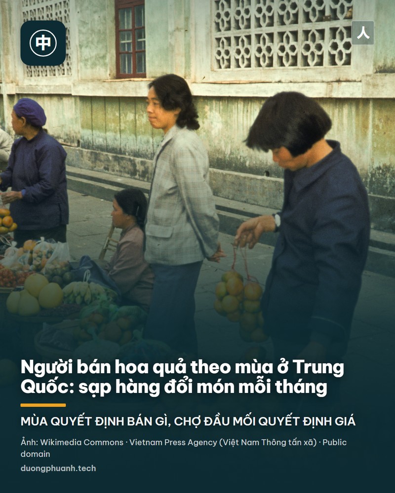Bên trong một cửa hàng hoa quả ở Mạc Hà, Trung Quốc: các ô hàng xếp đầy đào, quýt, cam và dưa hấu với màu sắc rực rỡ, phía trước là những khay nấm khô, mộc nhĩ và táo đỏ bày thành dãy dài
