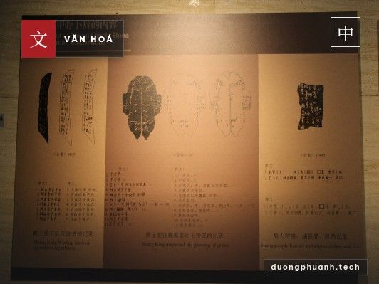 Chữ giáp cốt