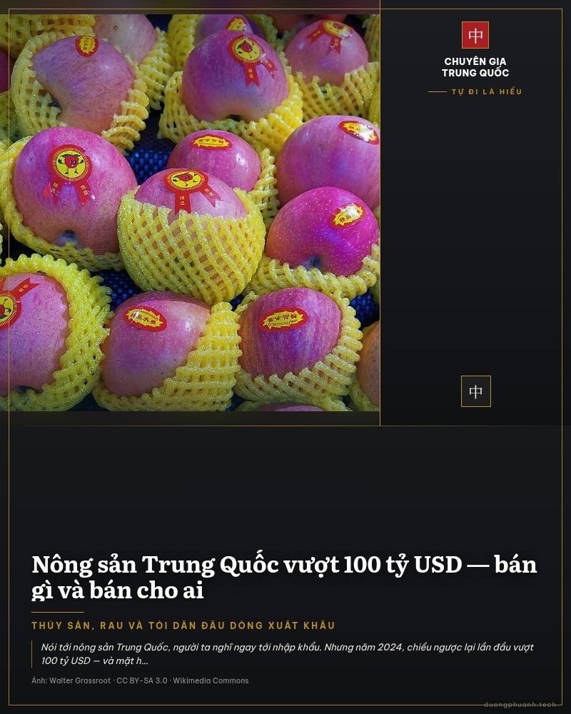 Táo Phú Sĩ Yên Đài của tỉnh Sơn Đông xếp thành từng lớp trên khay: từng quả bọc lưới xốp trắng, dán tem đỏ, tua tủa cuống xanh, phủ kín cả khung hình