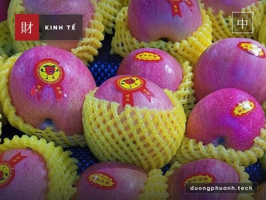 Nông sản Trung Quốc vượt 100 tỷ USD — bán gì và bán cho ai
