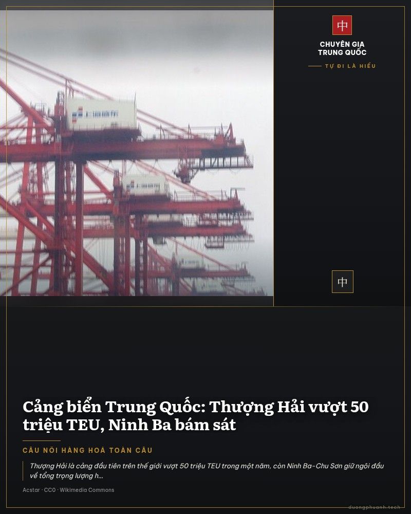 Cảng container Dương Sơn của Thượng Hải trong mưa: hàng dãy cẩu dàn màu đỏ vươn dài, các khối container xếp cao bên phải với container của hãng Maersk và Evergreen.