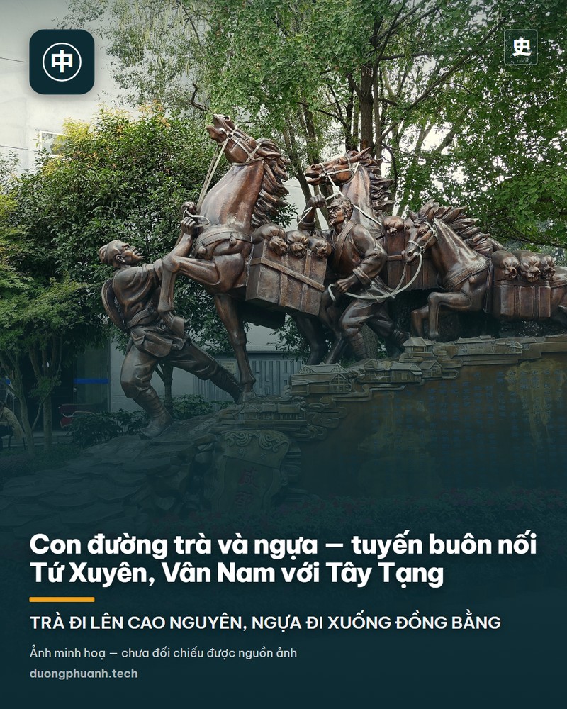 Những luống trà xanh xếp thành tầng tầng lớp lớp trên sườn đồi dốc, xen giữa rừng cây, dưới nền trời trong, thuộc vùng trồng trà dọc con đường trà và ngựa