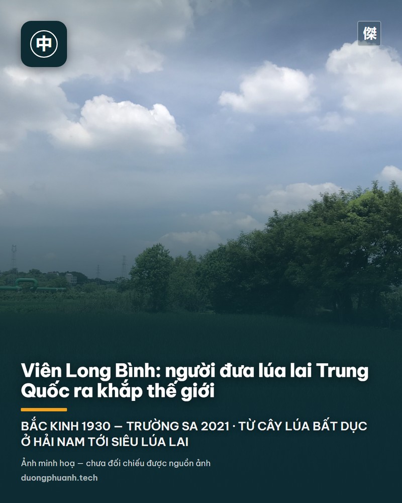 Tượng sáp Viên Long Bình trong tư thế đứng, mặc áo sơ mi kẻ ô nhiều màu, hai tay nâng bó lúa chín, phía sau là cánh đồng lúa vàng trong một bối cảnh trưng bày ở bảo tàng.