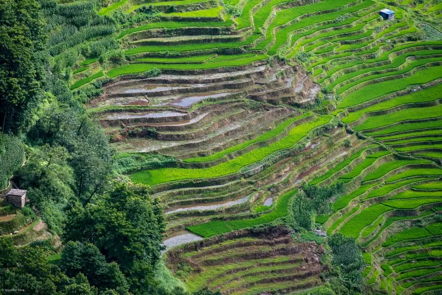 Ruộng bậc thang