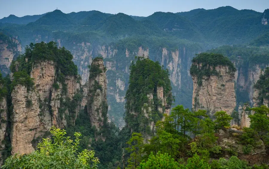 Trương Gia Giới