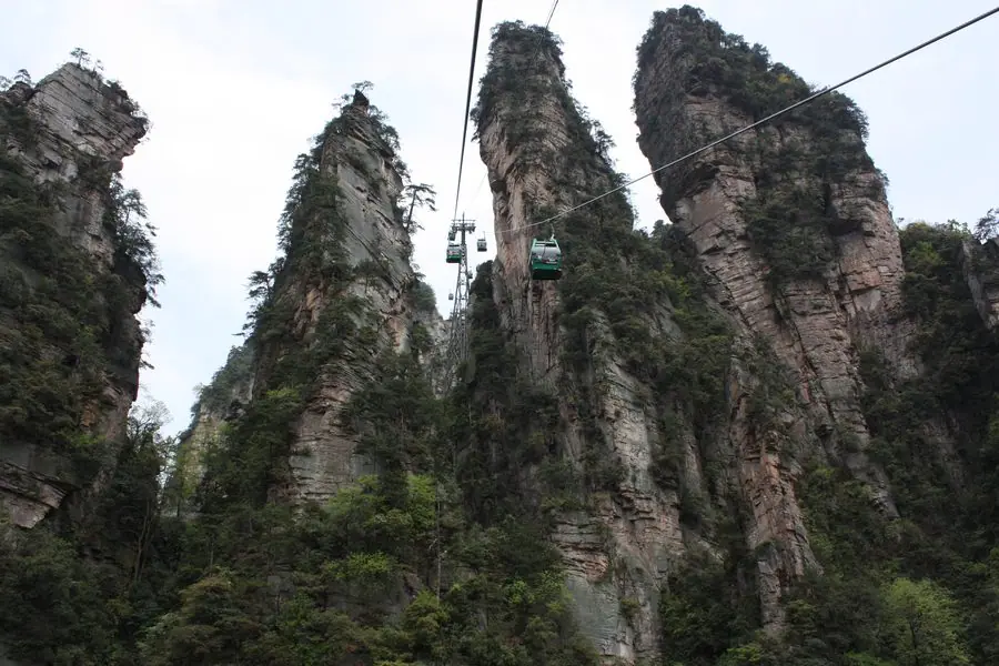 Trương Gia Giới