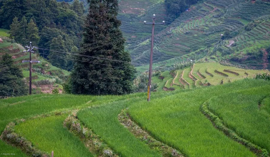Ruộng bậc thang