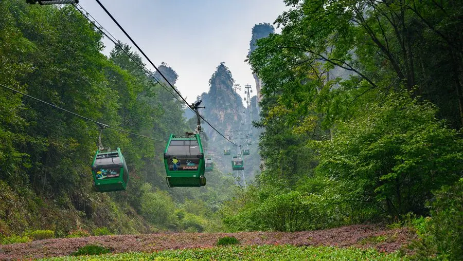 Mùa mưa Trương Gia Giới