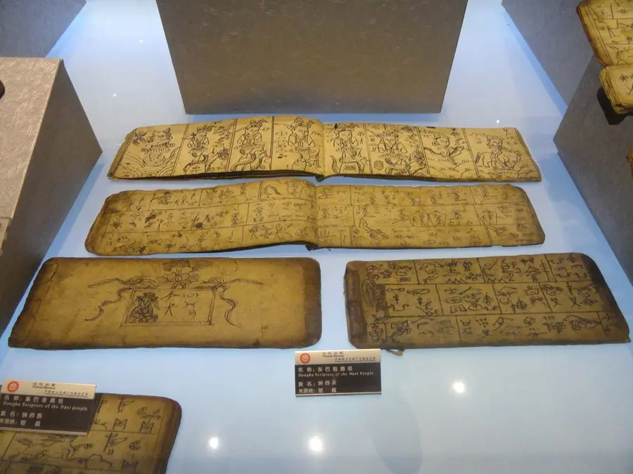 Người Nạp Tây