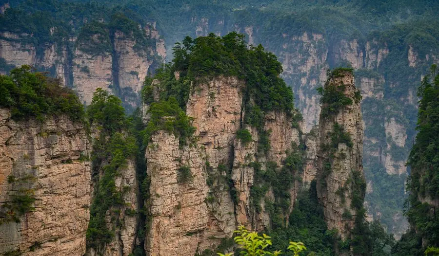 Trương Gia Giới