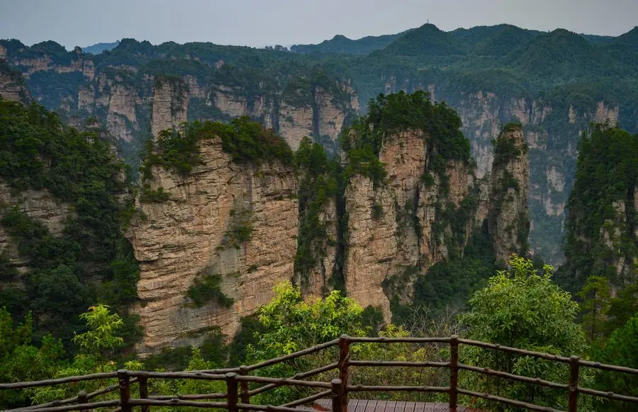Trương Gia Giới