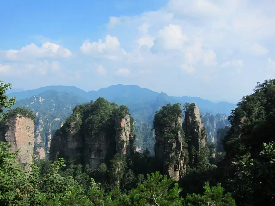 Trương Gia Giới
