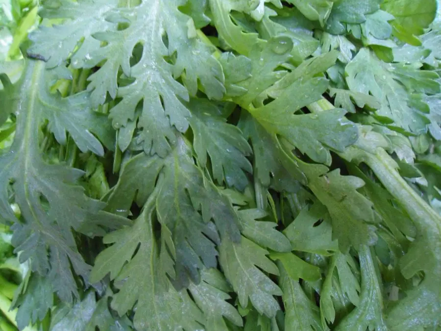 Chợ đồ ăn