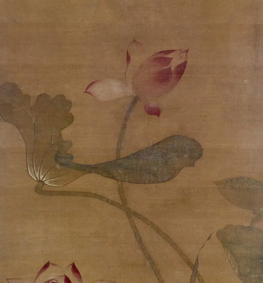 Sen Tây Hồ
