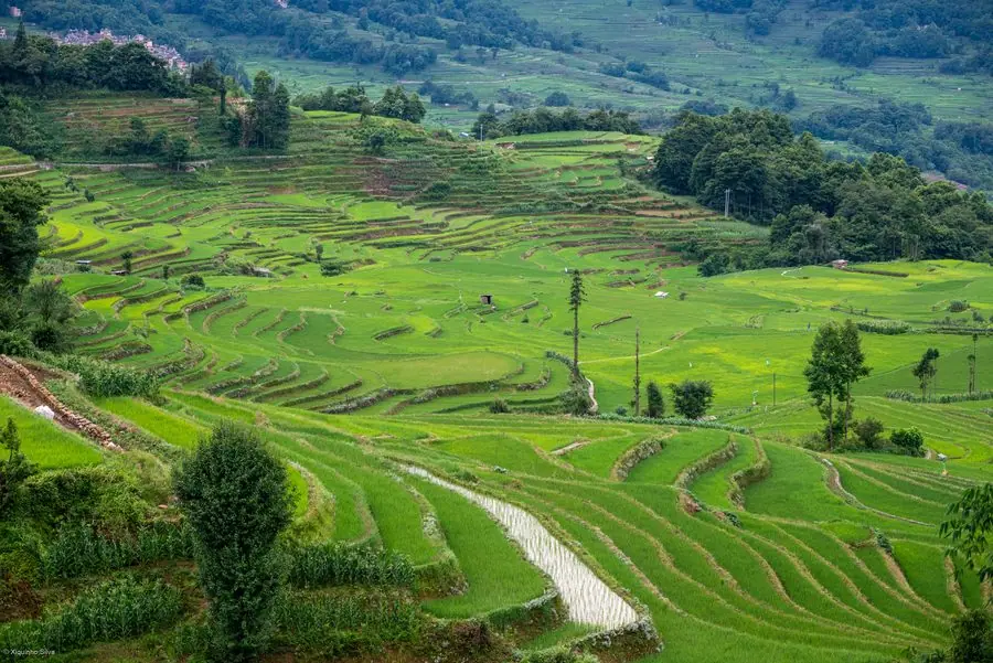 Ruộng bậc thang