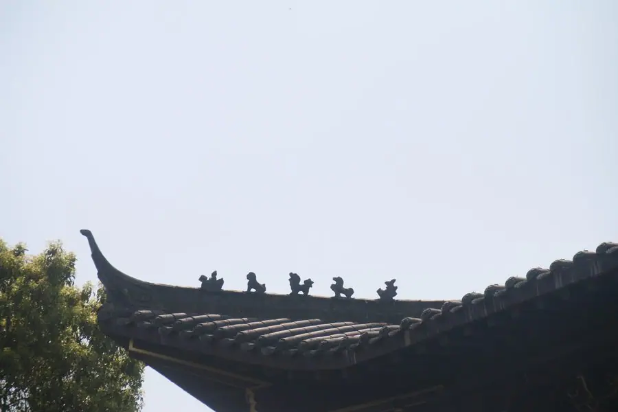 Chi tiết trên mái