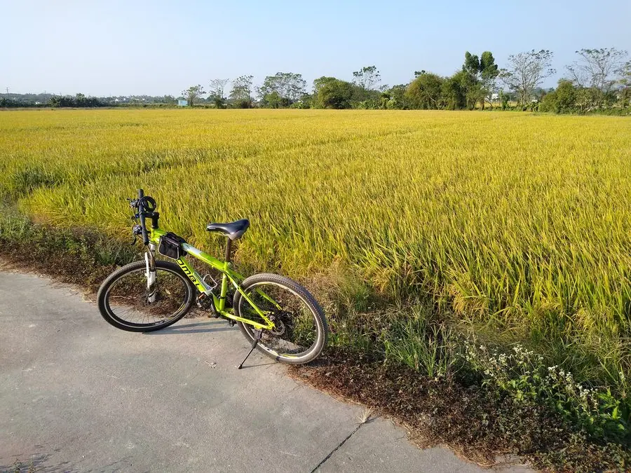 Xe đạp trong ngõ