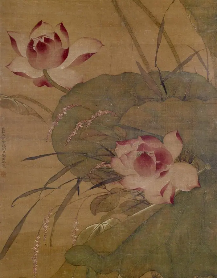Sen Tây Hồ